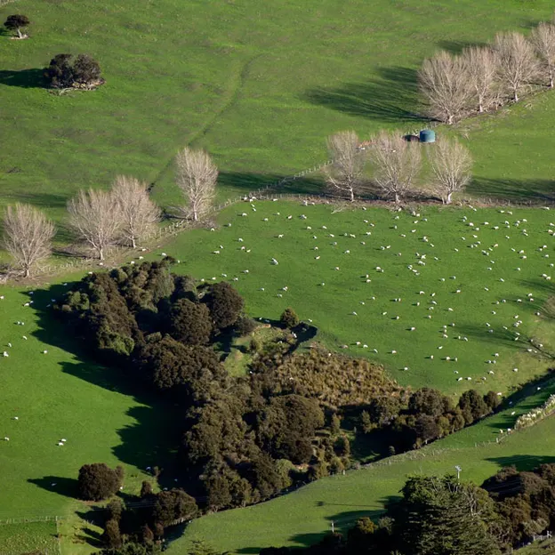 Canterbury, New Zealand — photograph 11 of 40