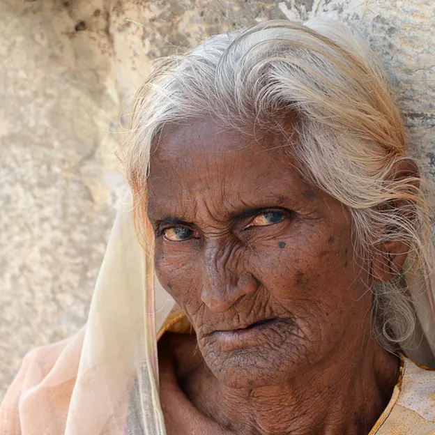 Incredible India 2010 — photograph 46 of 289
