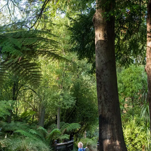 10.5.2020 Riccarton Bush & Millbrook  — photograph 16 of 31