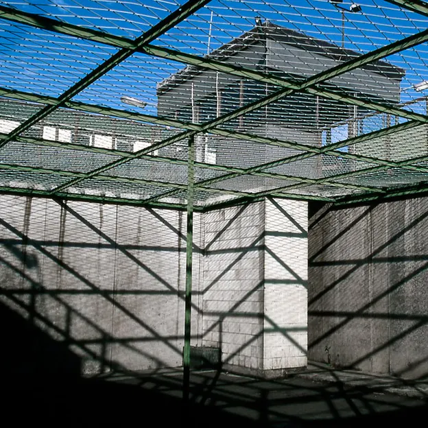 Naturally Conceptual — photograph 12 of 23