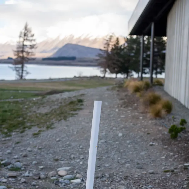 3.9.2020 Tekapo Trip — photograph 157 of 200