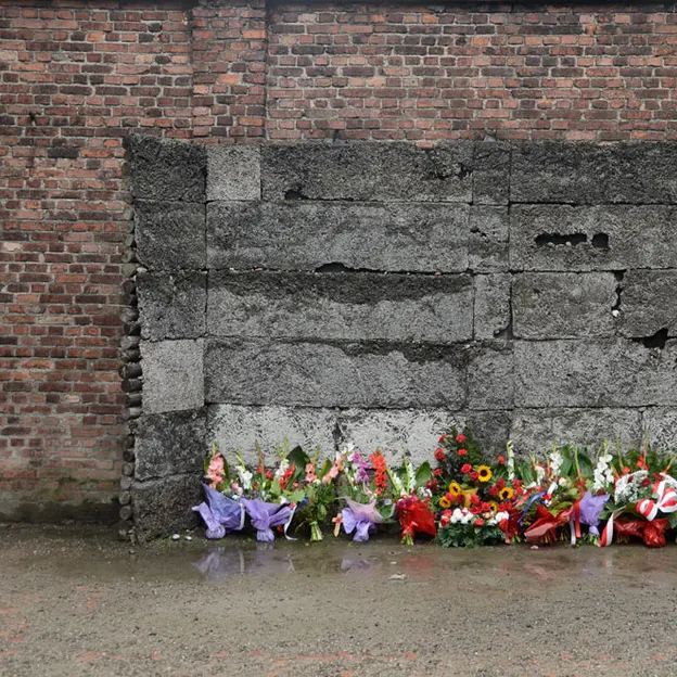 Auschwitz 2012 — photograph 15 of 27