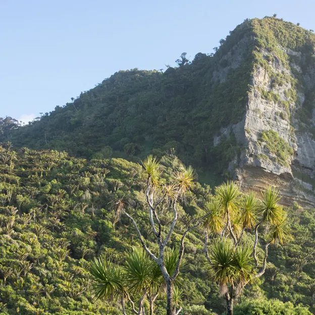 7.1.2020 Cave Stream & Punakaiki — photograph 18 of 33