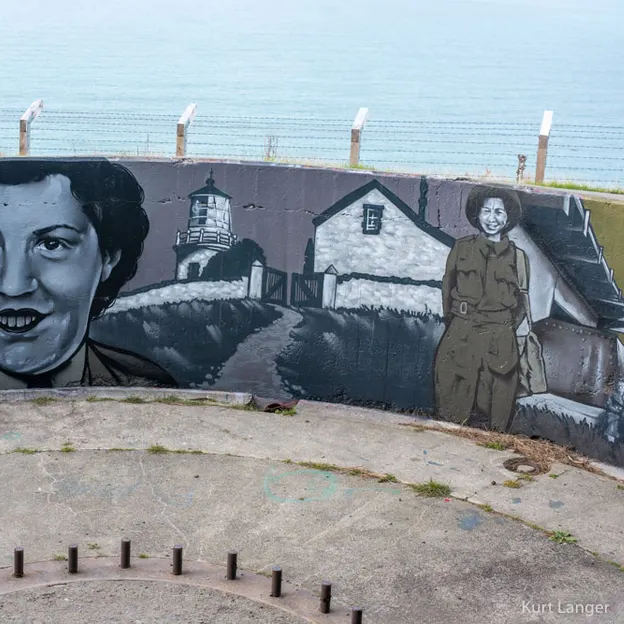 23.5.2020 Godley Head — photograph 22 of 54