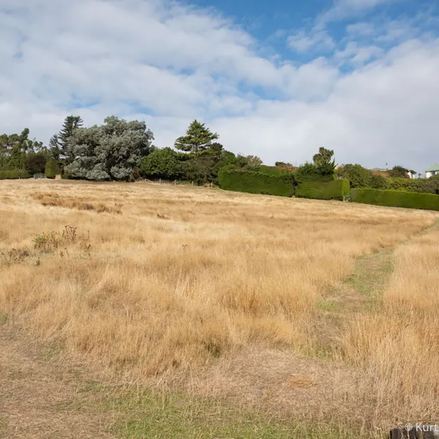 14.4.2020 Halswell Quarry Park — photograph 22 of 46