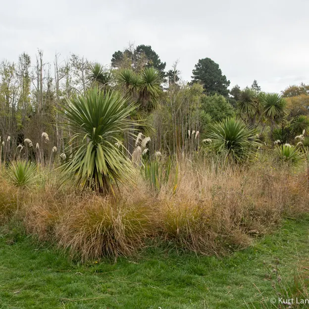 14.4.2020 Halswell Quarry Park — photograph 42 of 46