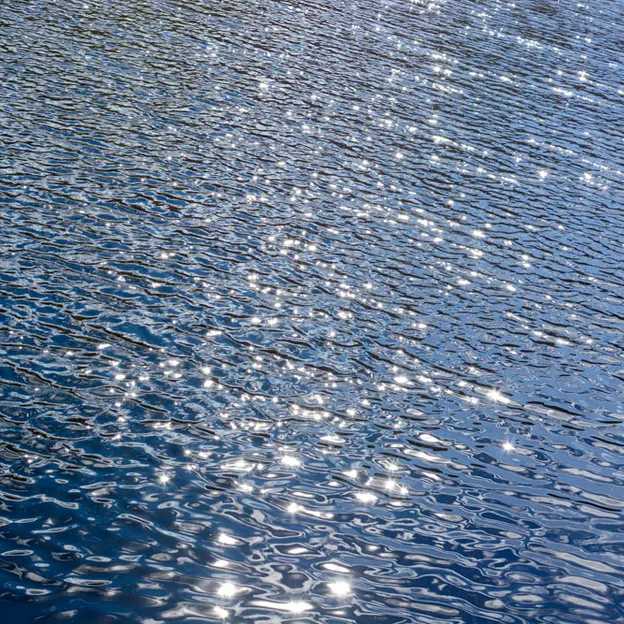 Natural Abstracts — photograph 12 of 16