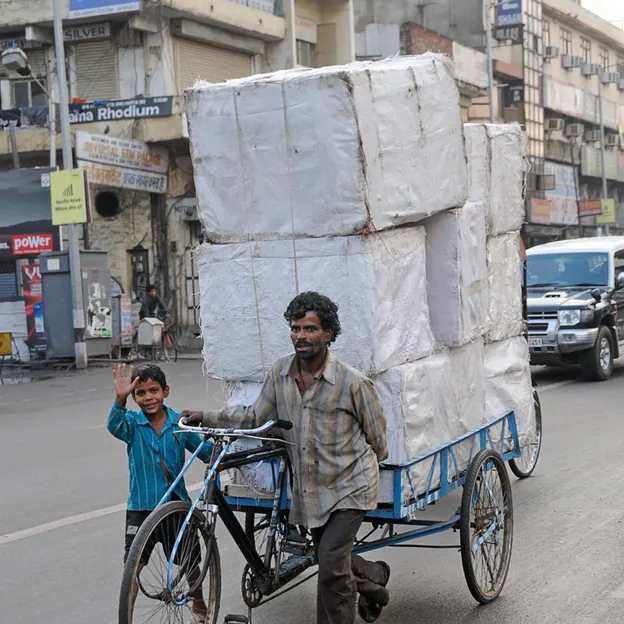 Incredible India 2010 — photograph 159 of 289