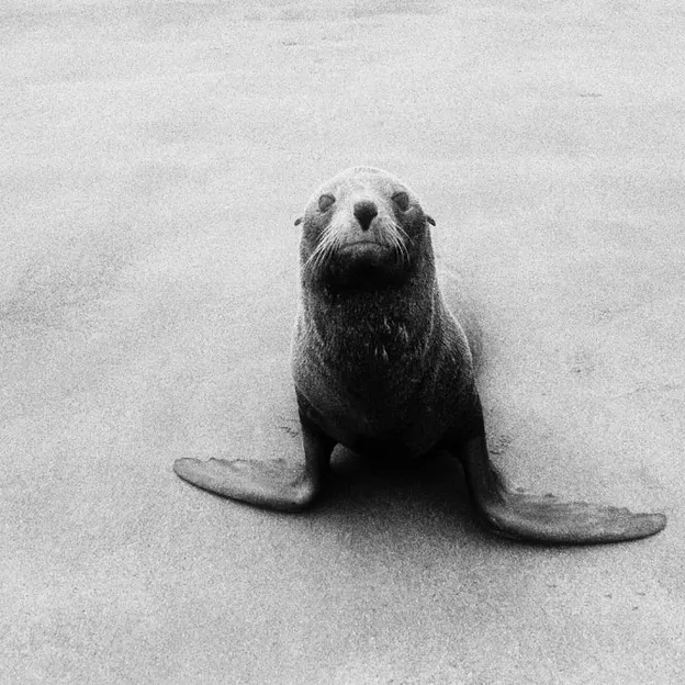 Animals — photograph 43 of 83