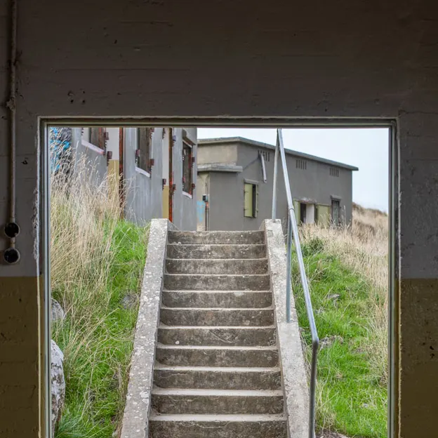 23.5.2020 Godley Head — photograph 13 of 54