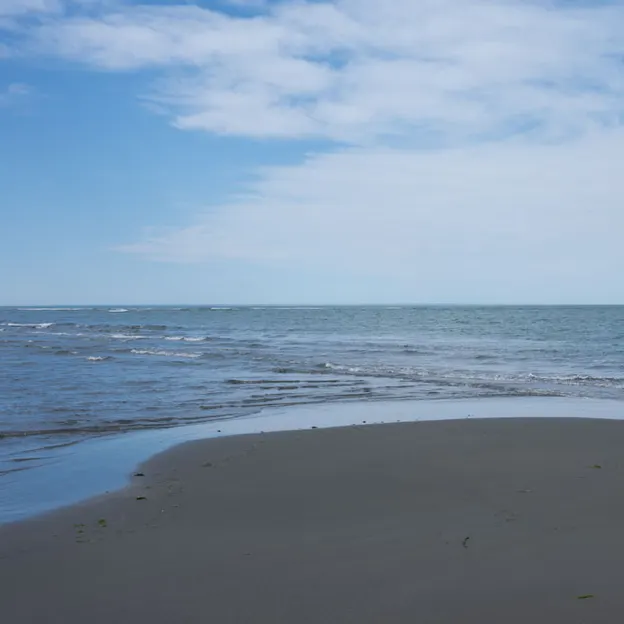 6.10.2020 Southshore — photograph 22 of 26