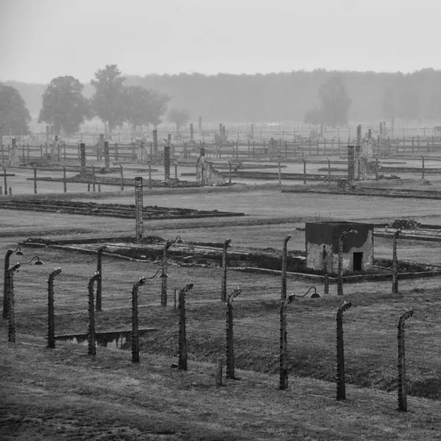 Auschwitz 2012 — photograph 18 of 27