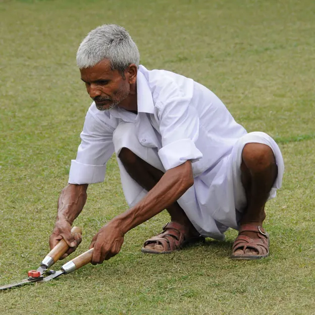 Incredible India 2010 — photograph 41 of 289