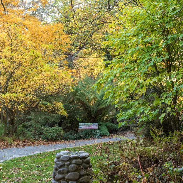 24.4.2020 Around The Botanics — photograph 17 of 18