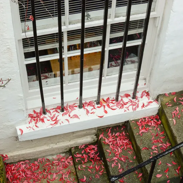 Windows — photograph 15 of 16