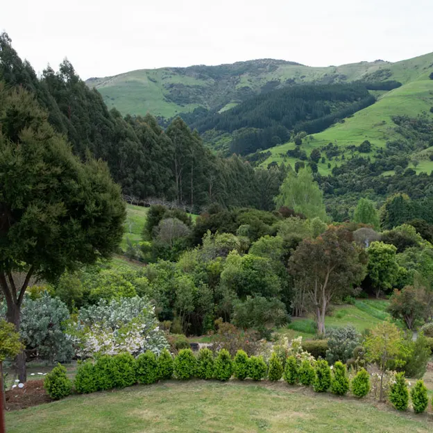 Little River Open Garden Day 27.10.2019 — photograph 111 of 113