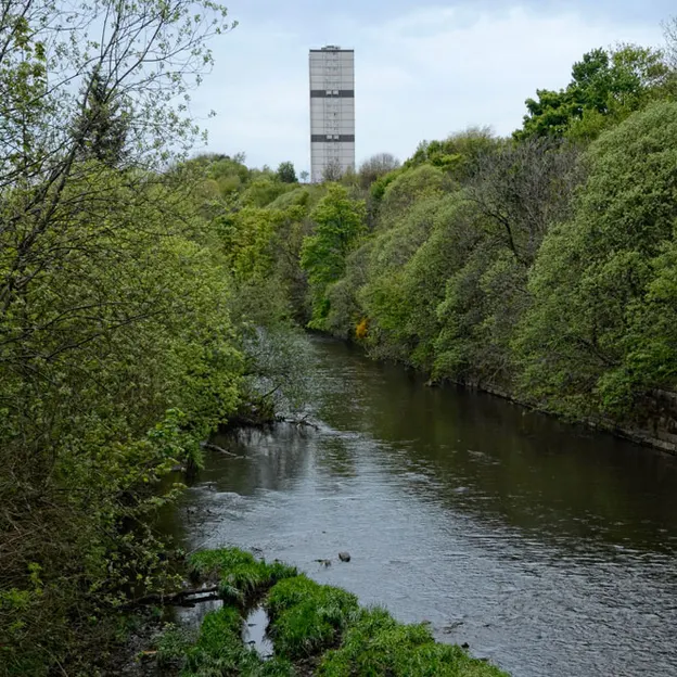 Glasgow 2012 — photograph 41 of 228