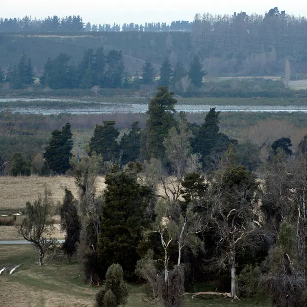 Canterbury, New Zealand — photograph 9 of 40