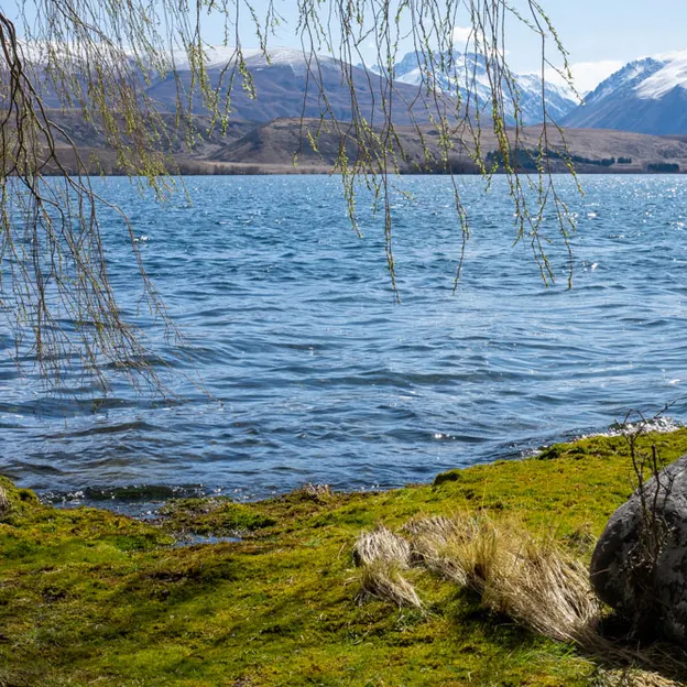 3.9.2020 Tekapo Trip — photograph 126 of 200