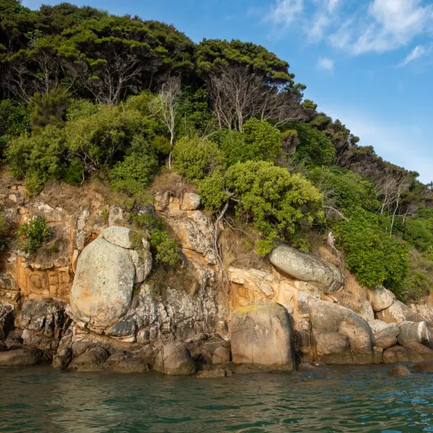 27.1.2020 Little River & Onawe Peninsula — photograph 10 of 32
