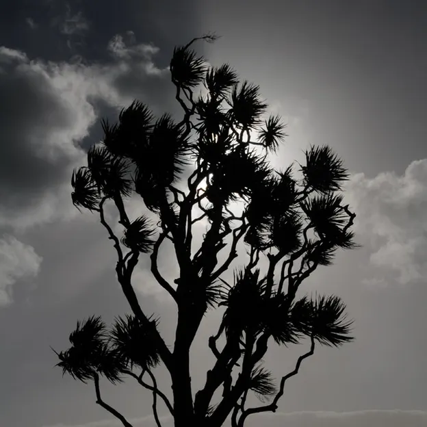 NZ Scenery — photograph 53 of 76