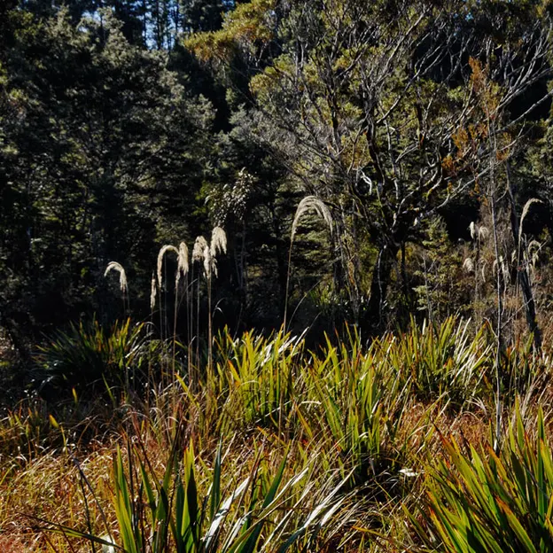 NZ Scenery — photograph 17 of 76