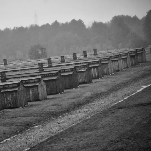 Auschwitz 2012 — photograph 19 of 27