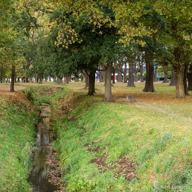 2.5.2020 Addington, South Hagley Park — photograph 68 of 84