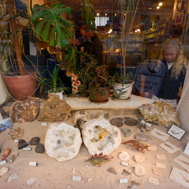 Shop Windows — photograph 44 of 55