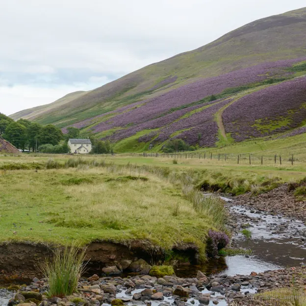 Edinburgh's Beautiful Countryside — photograph 22 of 34