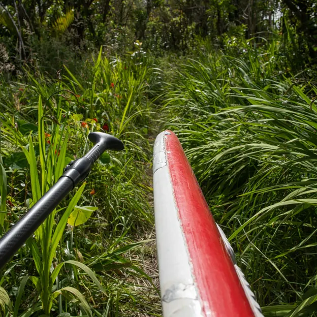 8.1.2020 Punakaiki — photograph 60 of 99