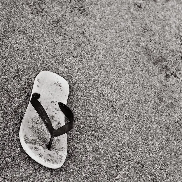 Kiwiana 1995 - 2010 — photograph 101 of 115