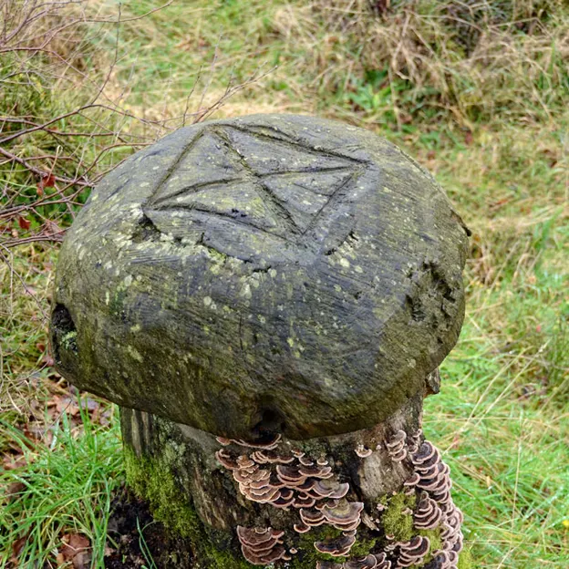 Scotlands Countryside 2012 — photograph 21 of 99