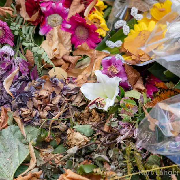 National Remembrance Service 29.03.2019 — photograph 62 of 93