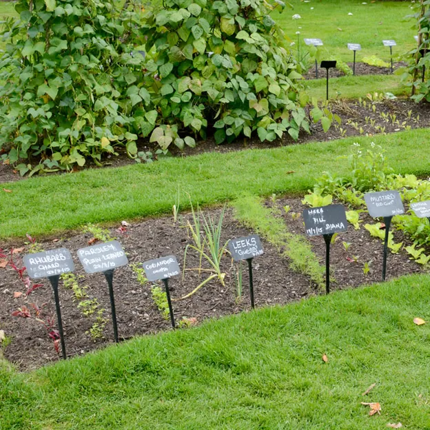 Royal Botanic Garden Edinburgh — photograph 13 of 13