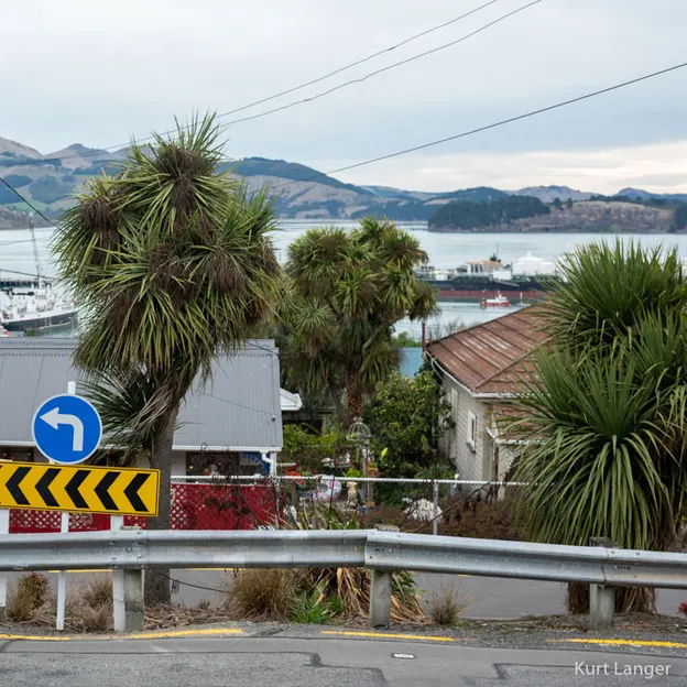 11.6.2020 Lyttelton Walkabouts — photograph 42 of 73