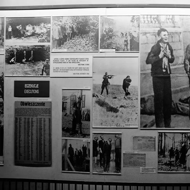 Auschwitz 2012 — photograph 12 of 27