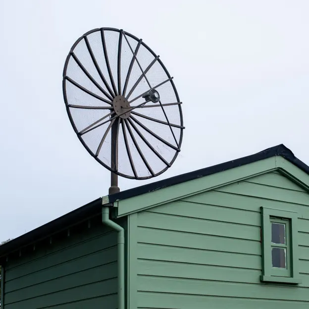 23.5.2020 Godley Head — photograph 47 of 54