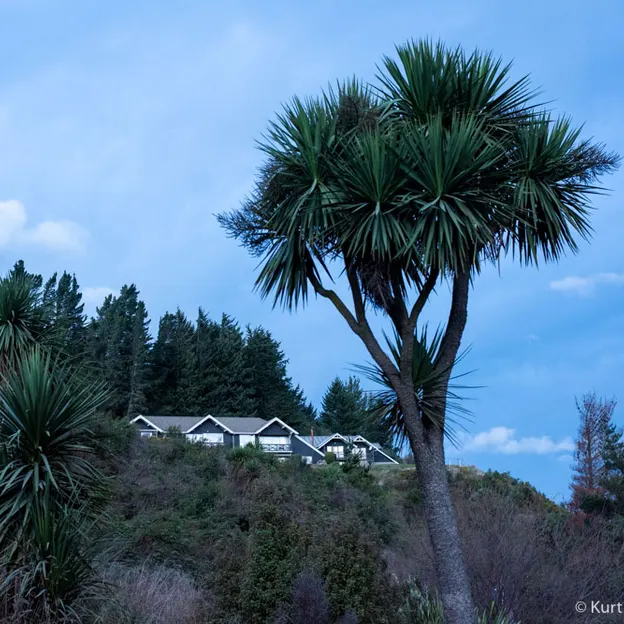 6.8.2020 Mt Hutt Lodge — photograph 46 of 48