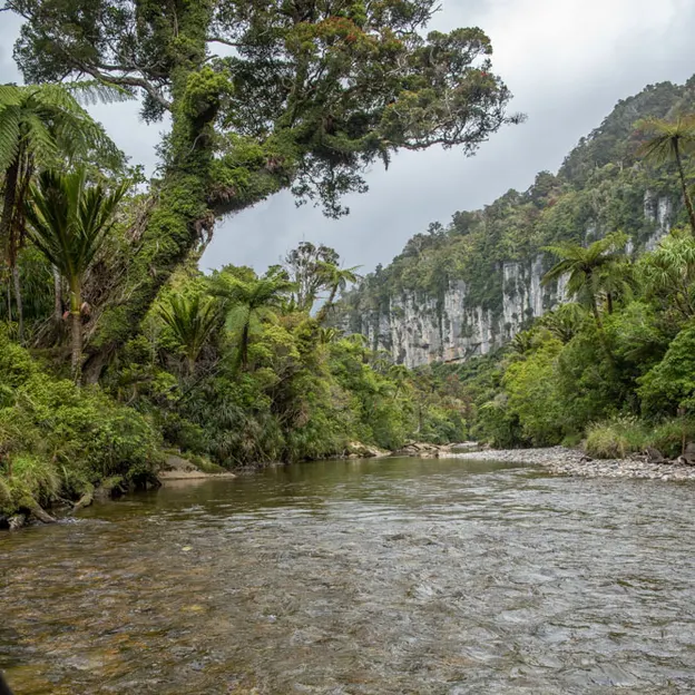 8.1.2020 Punakaiki — photograph 68 of 99