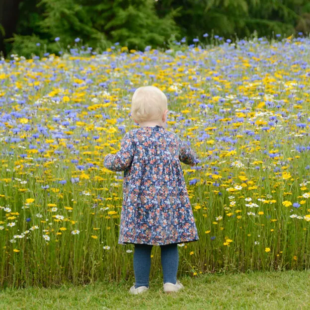 Skye's 2nd Year — photograph 37 of 150