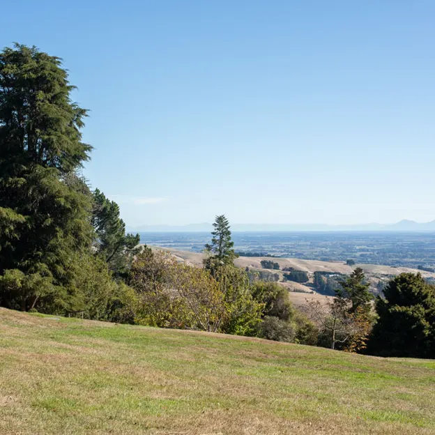 10.4.2020 Victoria Park — photograph 23 of 52