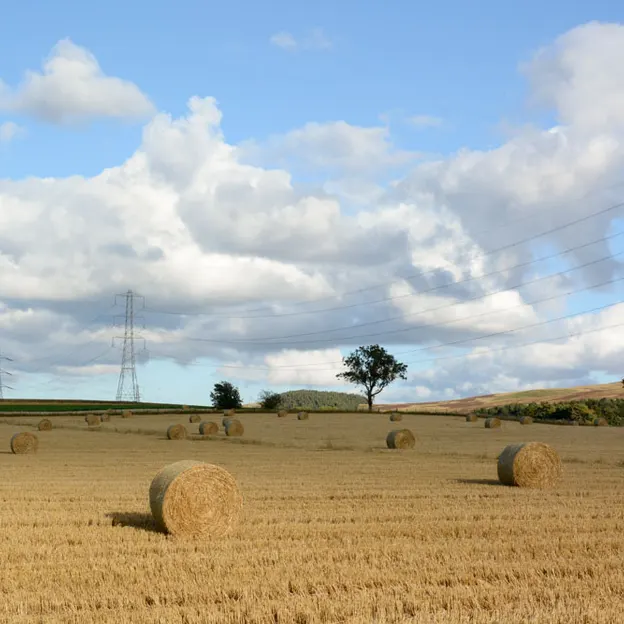 Edinburgh's Beautiful Countryside — photograph 32 of 34