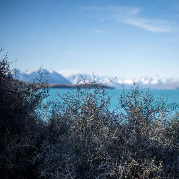 3.9.2020 Tekapo Trip — photograph 68 of 200