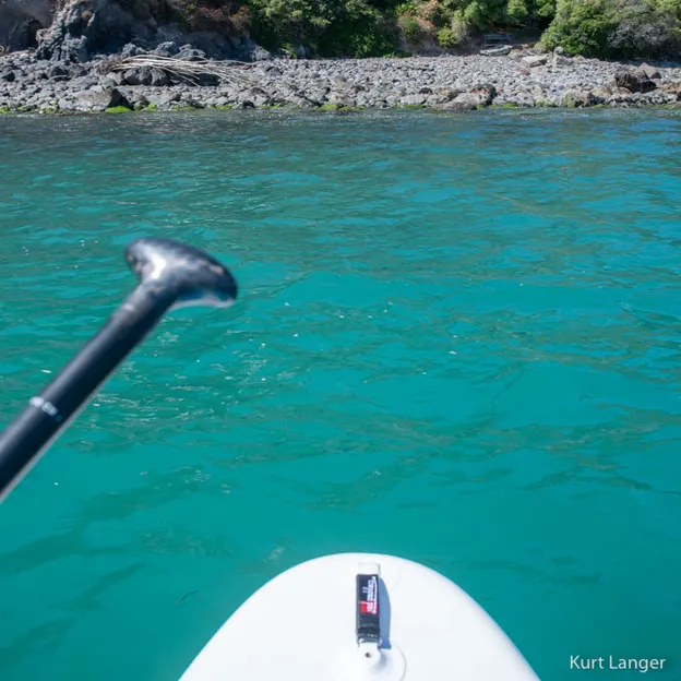 10.2.2020 SUPing From Sumner To Taylors  — photograph 15 of 17
