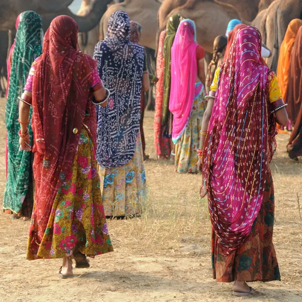 Incredible India 2010 — photograph 62 of 289