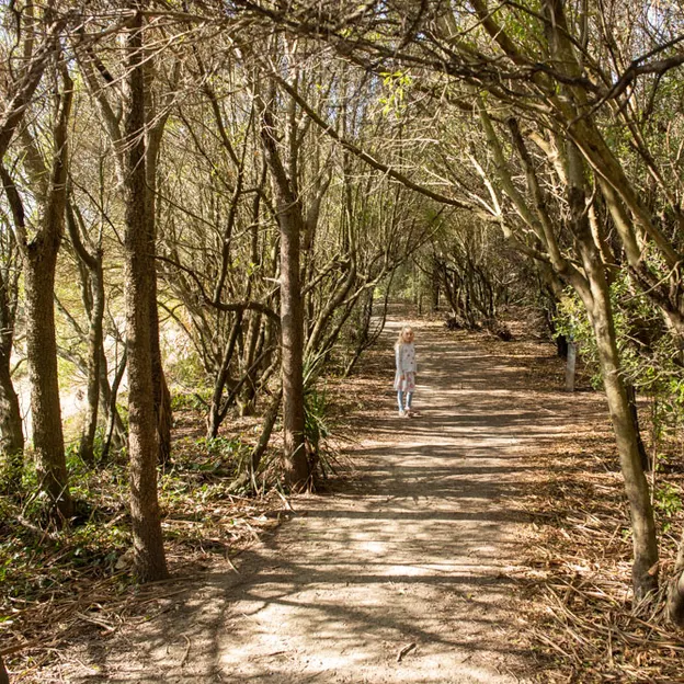 14.4.2020 Halswell Quarry Park — photograph 20 of 46