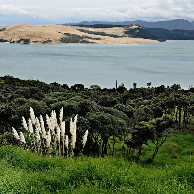 NZ Scenery — photograph 49 of 76