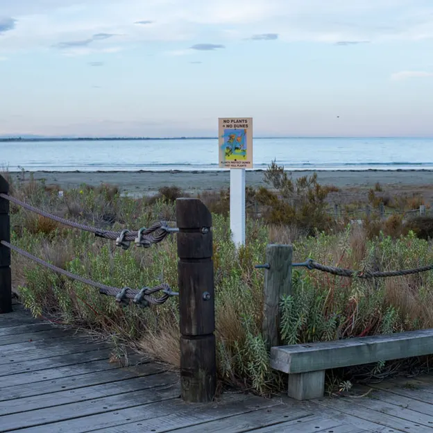 2.10.2020 Trip To Timaru (part 1)  — photograph 118 of 141