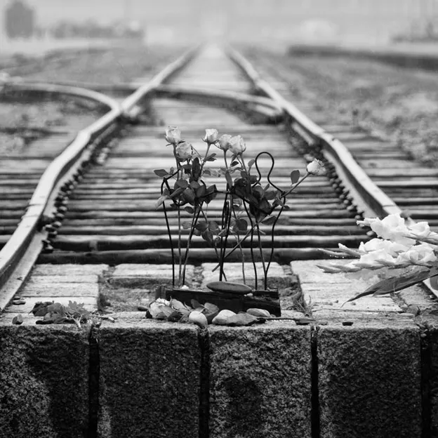 Auschwitz 2012 — photograph 26 of 27